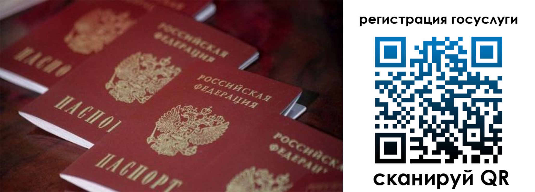 где прописаться в Солнечногорске